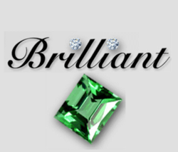 Brilliant Evaluations logo