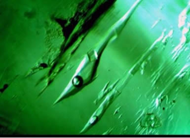 Three-phase inclusions