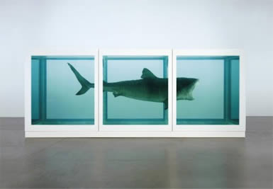 Damien Hurst Shark Art