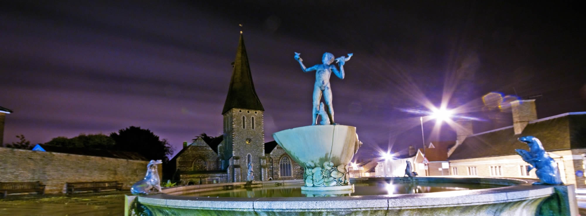 Braintree head image