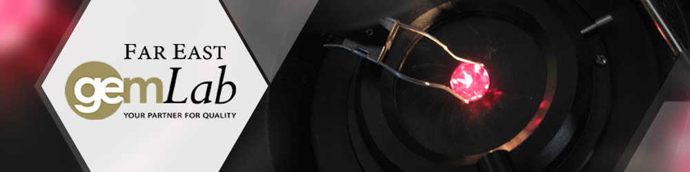 Banner for a Singapore Jewellery Expert