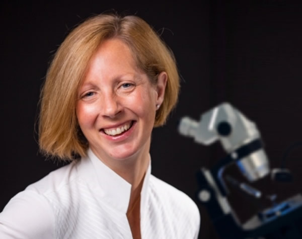 LFL Valuation Services