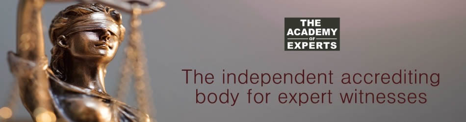 Banner for expert witness association